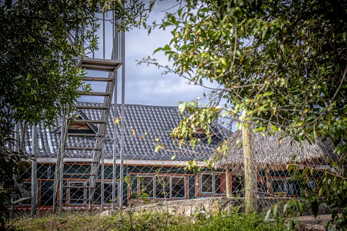 Orngatuny Mara King Camp image 2